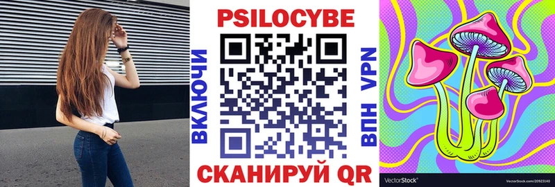 цены наркотик  Владимир  Галлюциногенные грибы Cubensis 